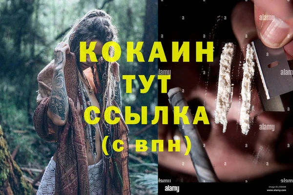 тгк Коряжма
