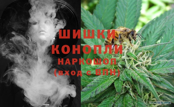 тгк Коряжма
