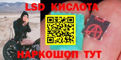 ПСИЛОЦИБИНОВЫЕ ГРИБЫ Дубна