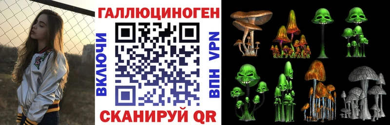 даркнет состав  Михайловка  Псилоцибиновые грибы GOLDEN TEACHER 