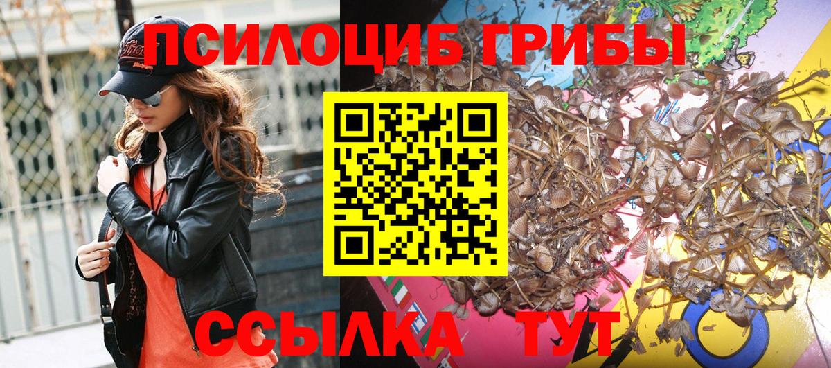 Галлюциногенные грибы мицелий  Вход с VPN  Михайловка 